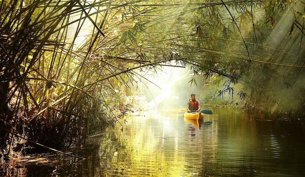 Фото Vythiri Village