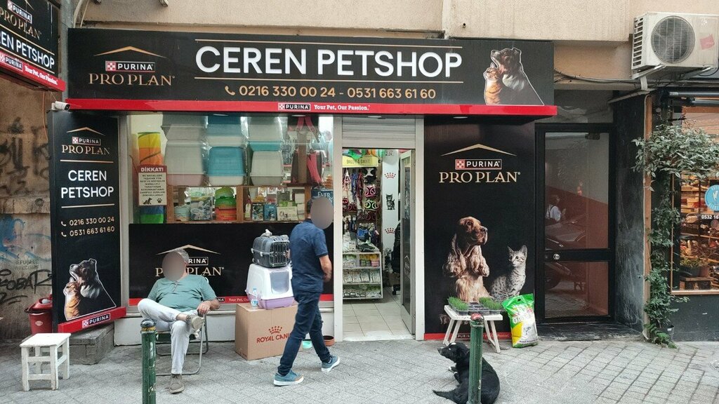 Interior design Emre Izer Architecture Decoration, Istanbul, photo