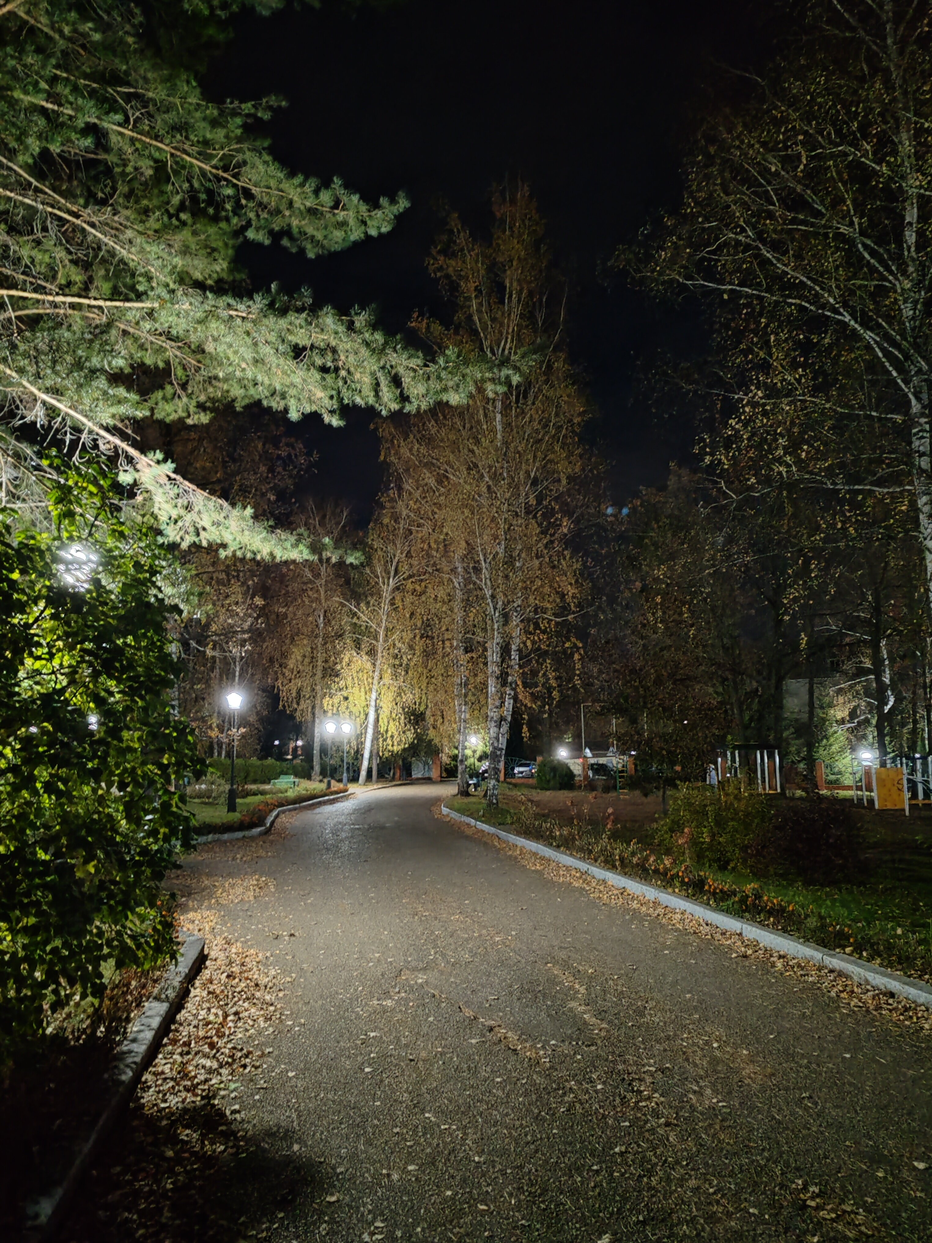 Фото Иволга