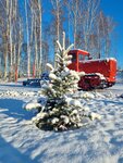 Крестьянско-фермерское хозяйство Иванова Анатолия Николаевича (selo Kontoshino, ulitsa Titova, 12/1), agricultural enterprise