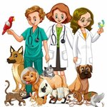 Rumi̇-Pet Veteri̇ner Kli̇ni̇ği̇ (Kırşehir, Kırşehir Merkez, Prf. Dr. Mehmet Ali Altın Cad.), veterinary clinic