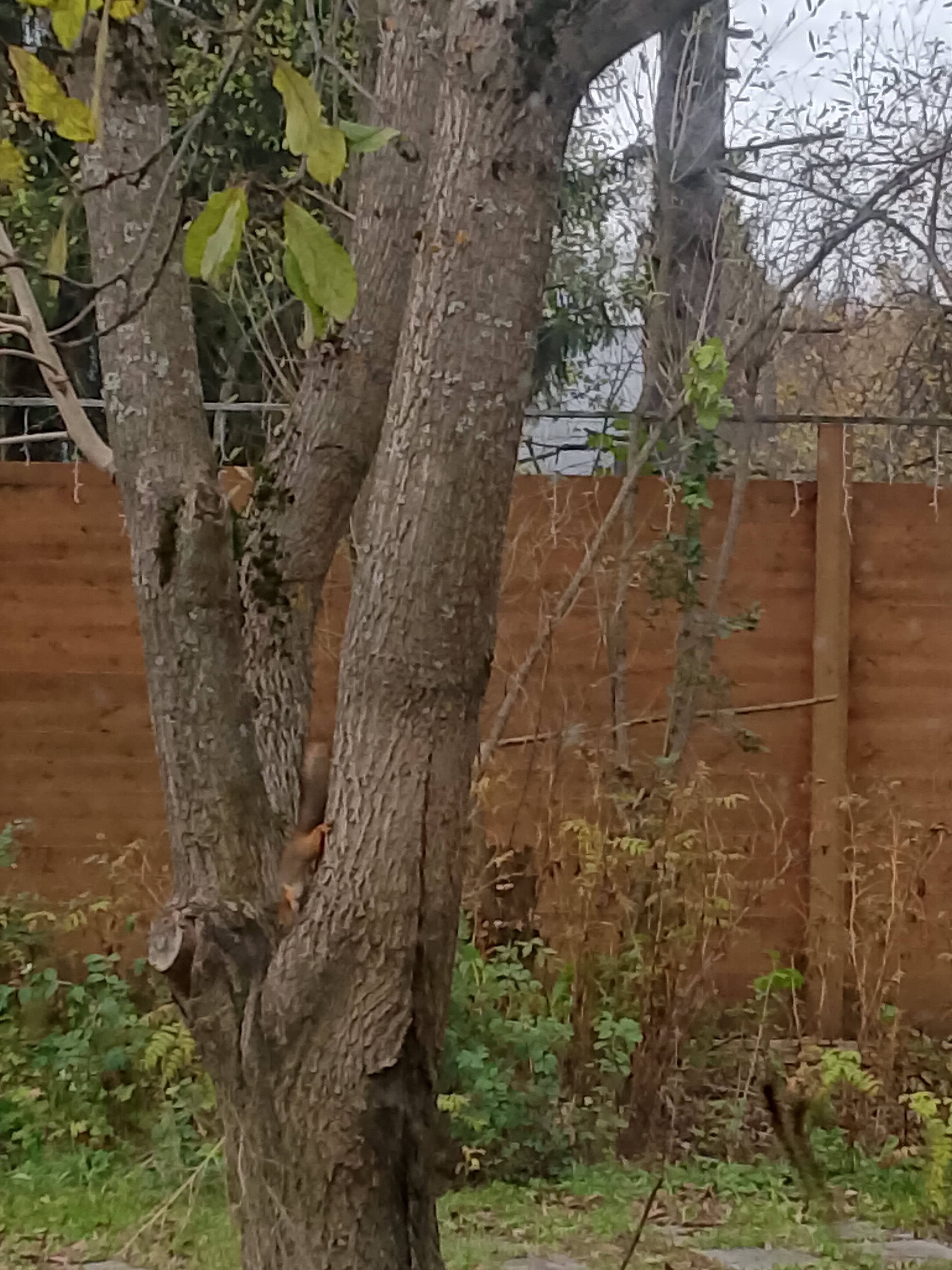 Фото Домики в Саду