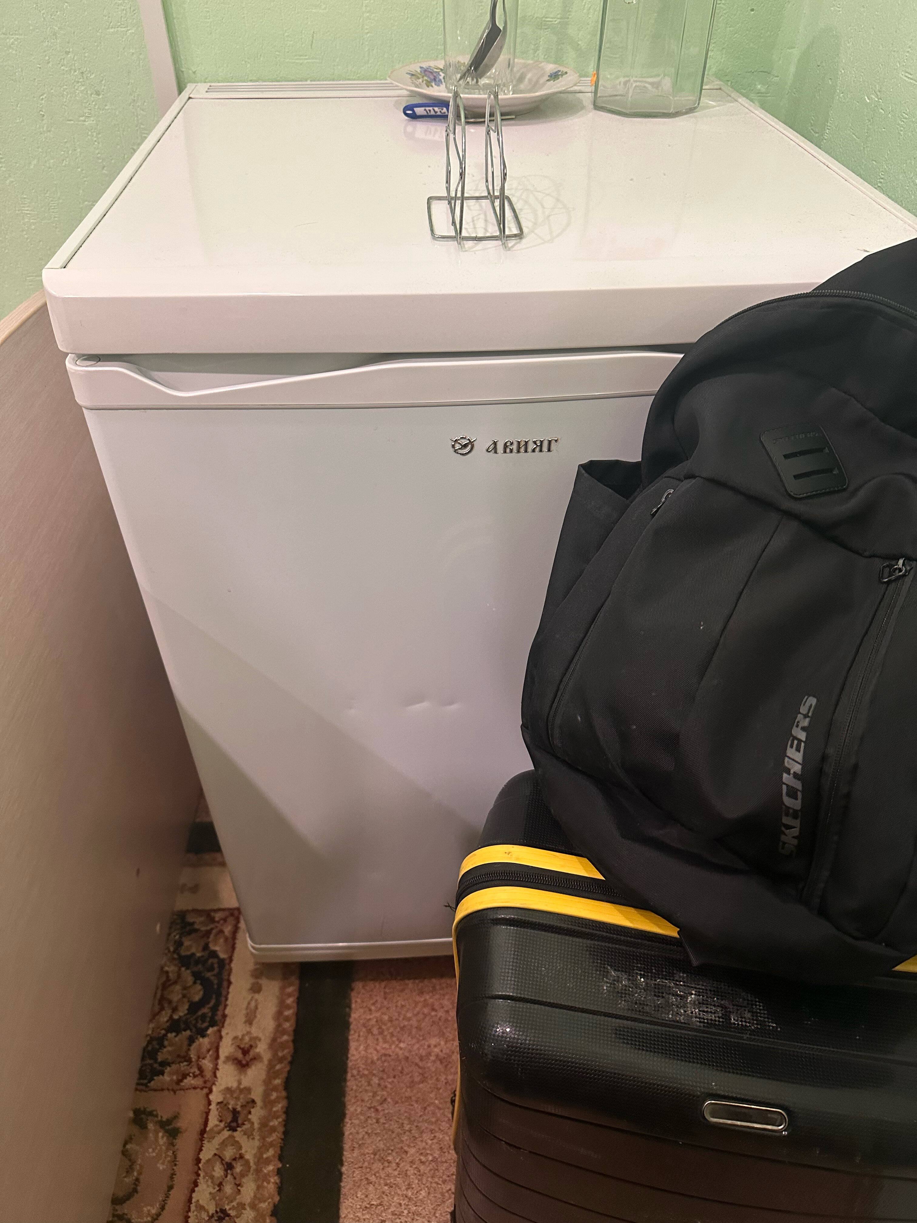 Фото Цезарь