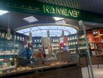 Камелёк (Lermontova Street, 62/4), gift and souvenir shop