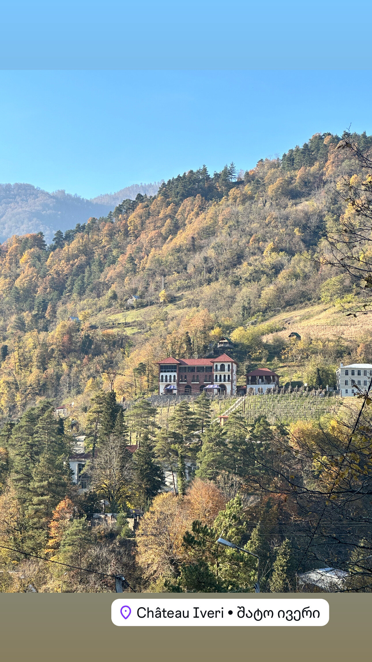Фото Chateau Iveri