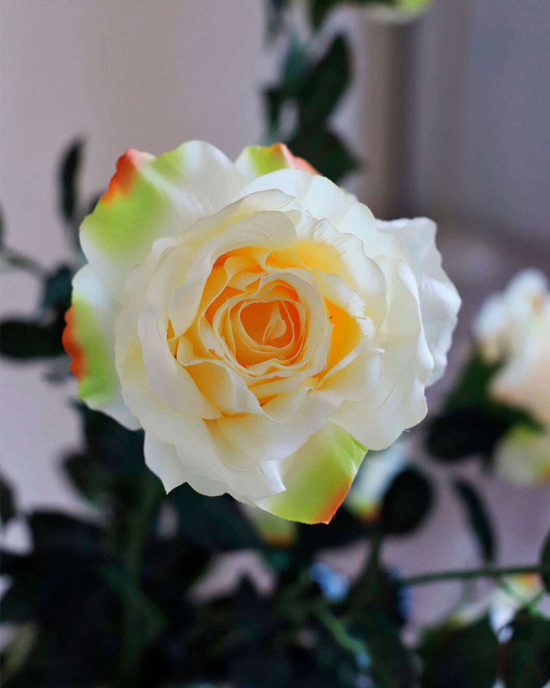 Фото На Тихом Дону