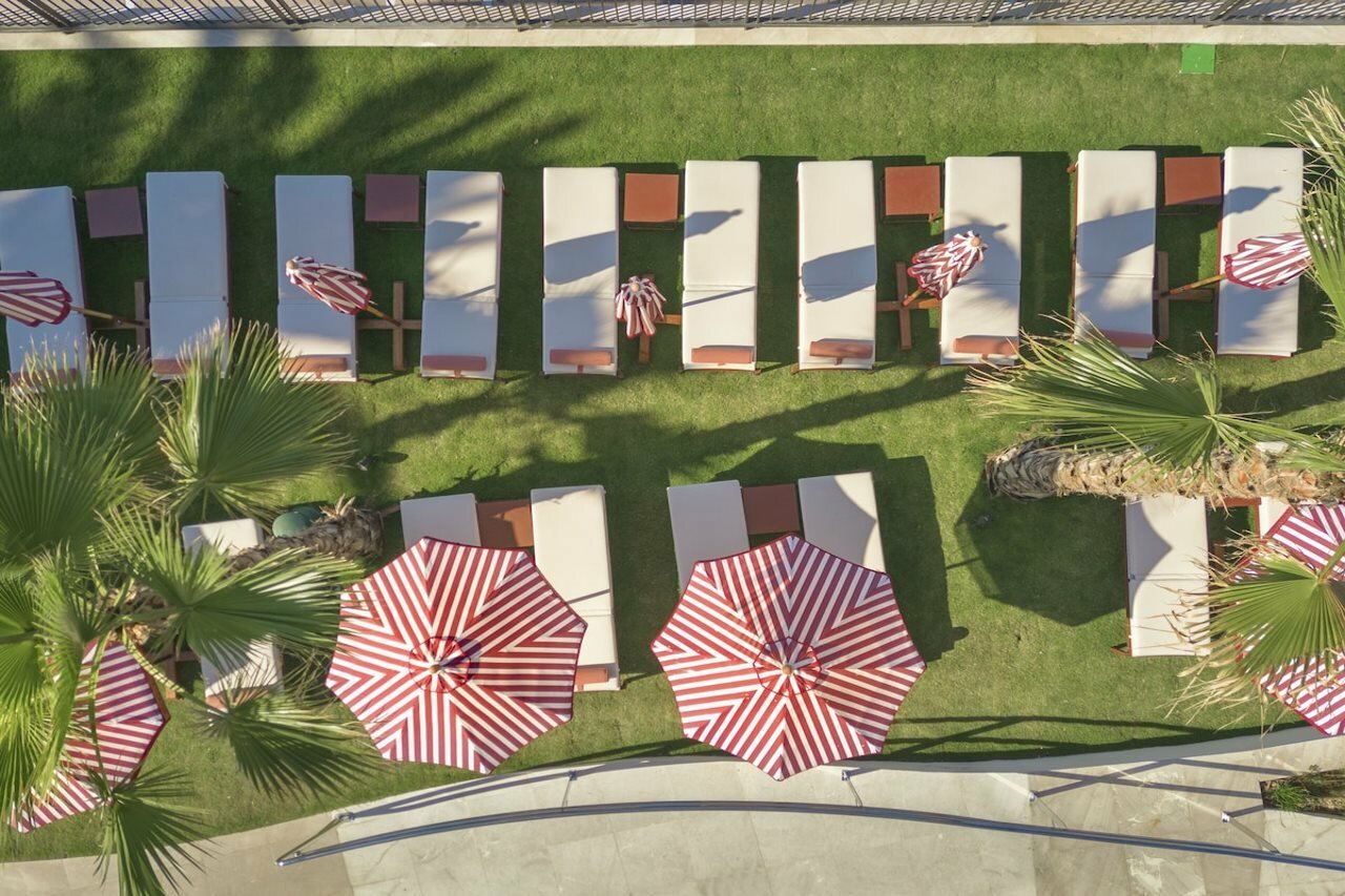 Фото 195612454276