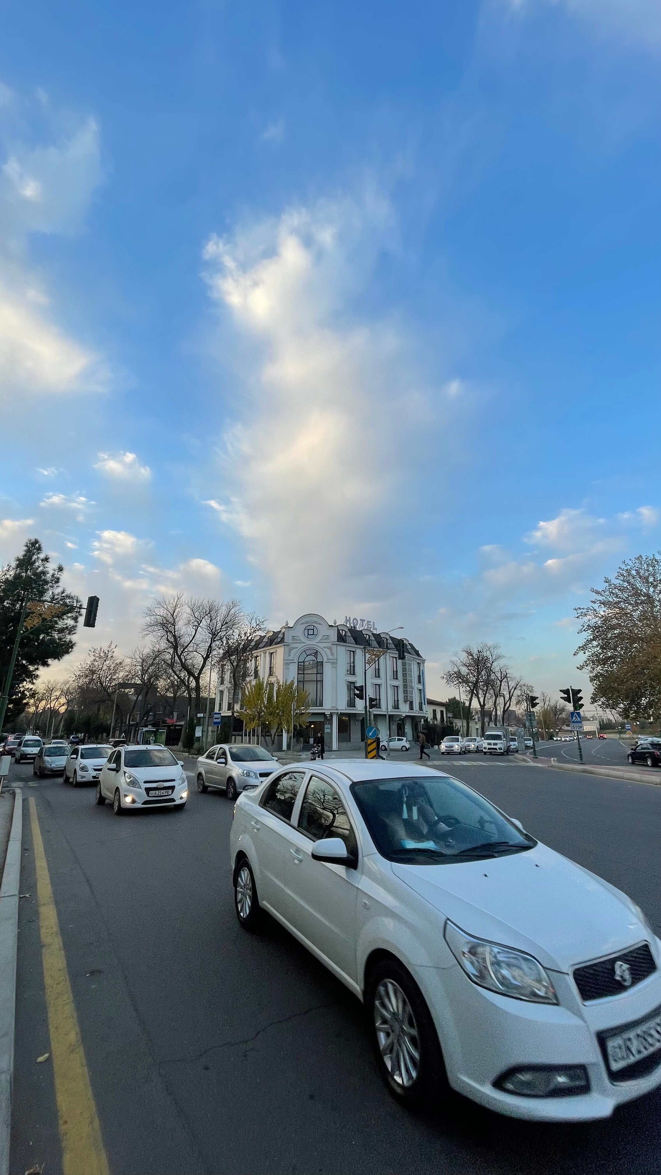 Фото 138324136117