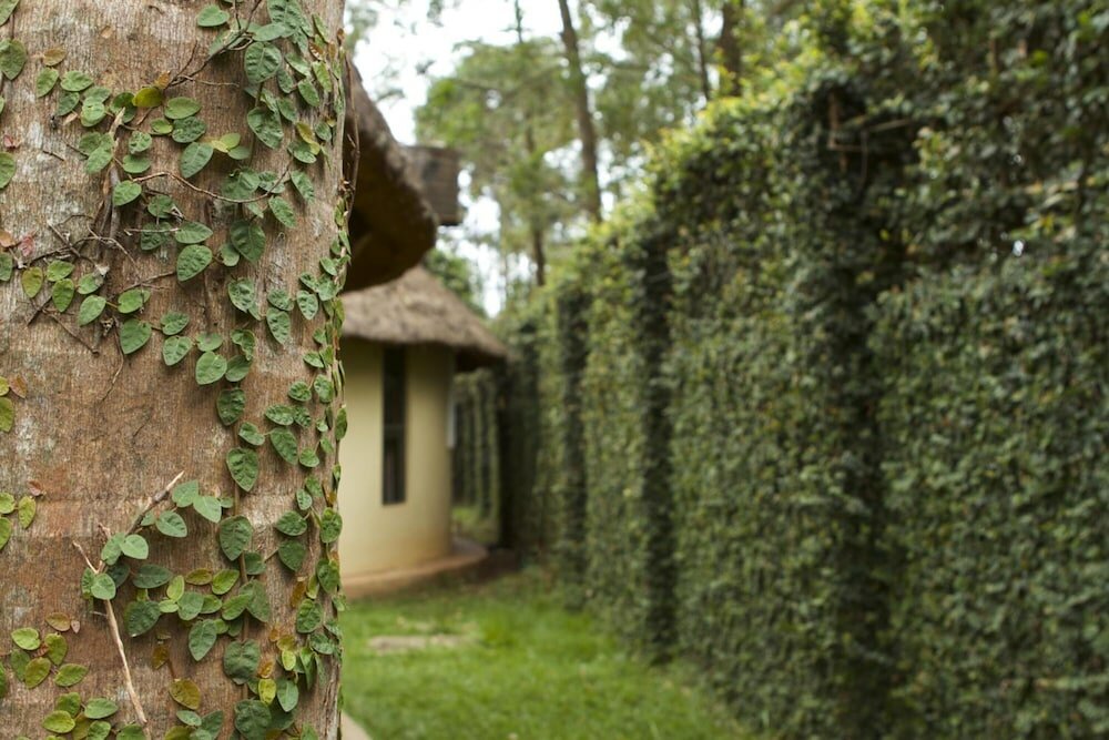 Фото Olive Gardens Hotel Kampala