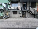 Tabacos (Abdulhakima Ismailova Street, 21), tobacco and smoking accessories shop