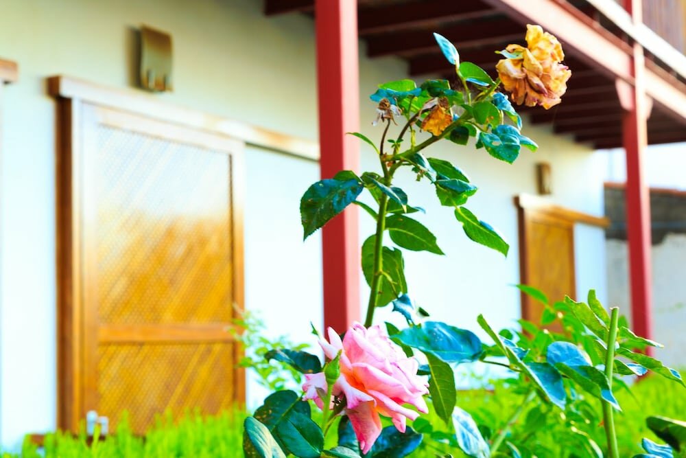 Фото Hotel Rural Imada