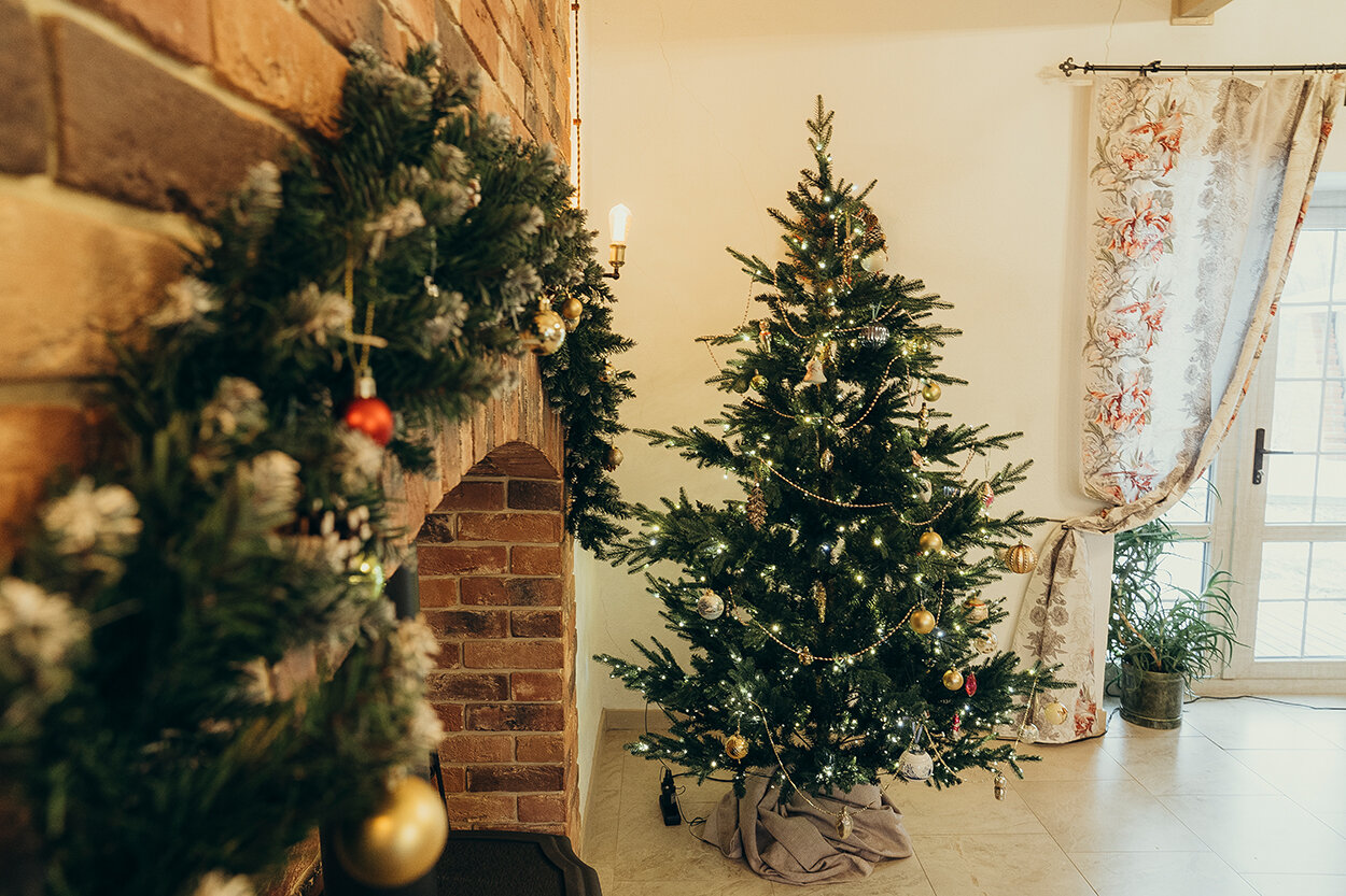 Фото Усадьба Плант