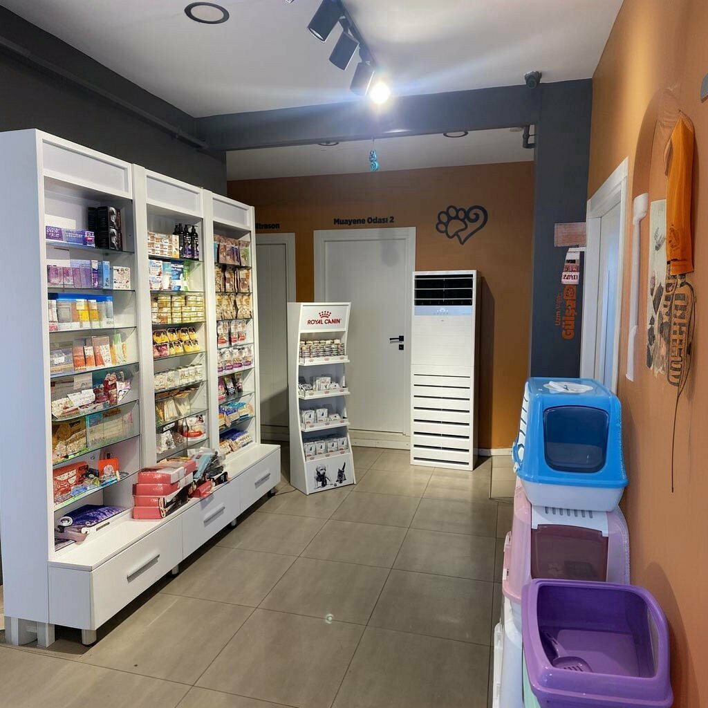 Veterinary clinic Durusehir Veterinary Clinic, Samsun, photo