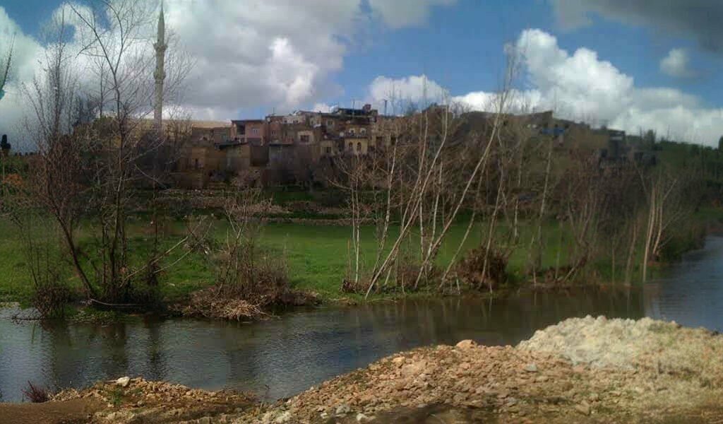 Primary school Yesil Alan Ilkogretim Okulu, Savur, photo