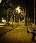 Fatih Neighborhood Park (Isparta, Isparta Merkez, Medine Cad., 64), park