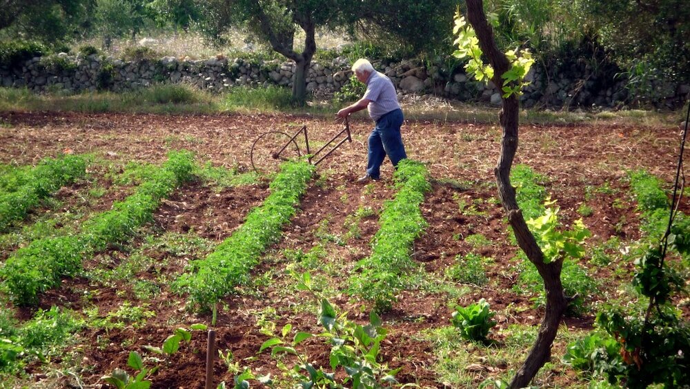 Фото Masseria Uccio