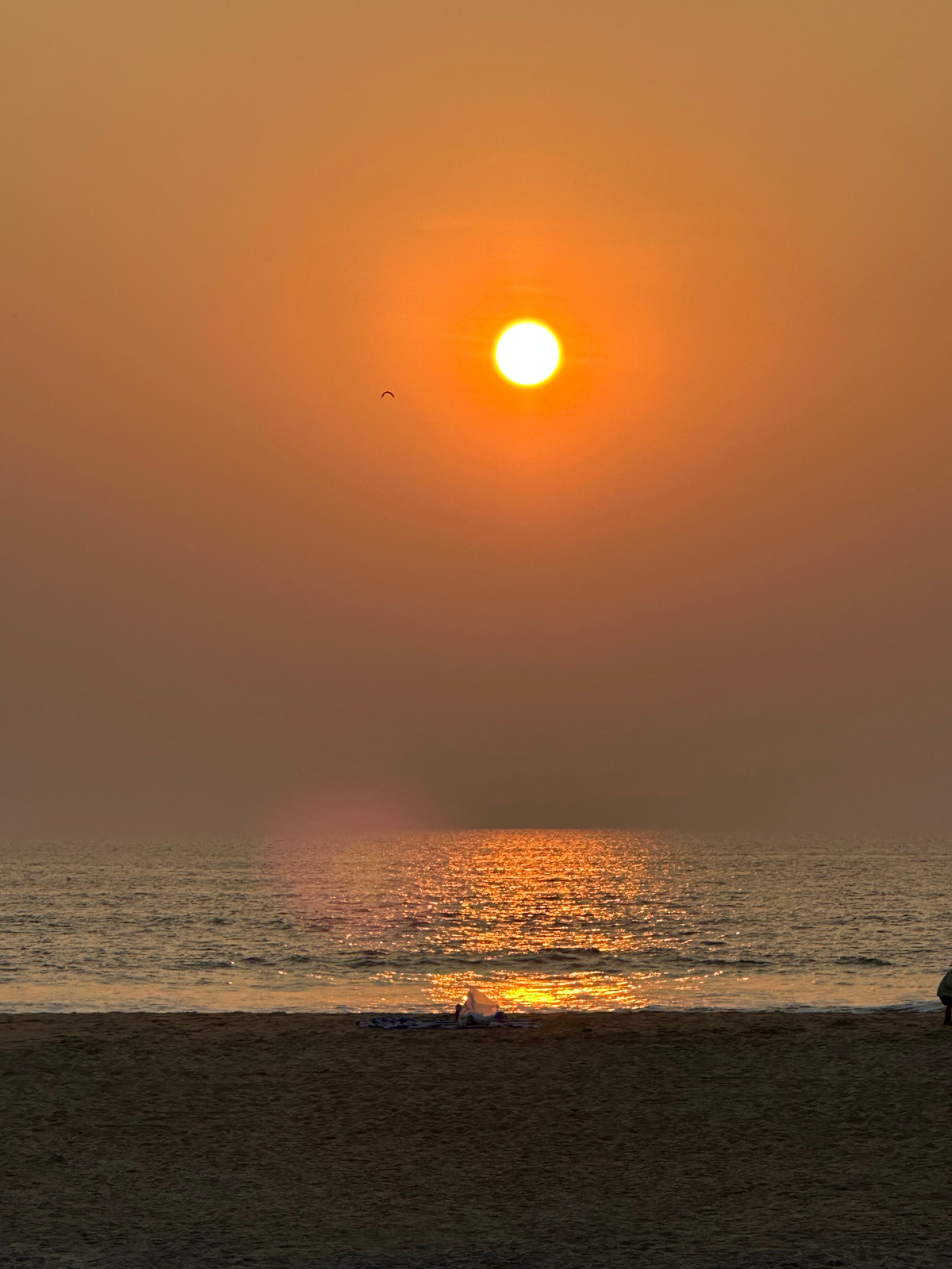 Фото Holiday Inn Resort Goa