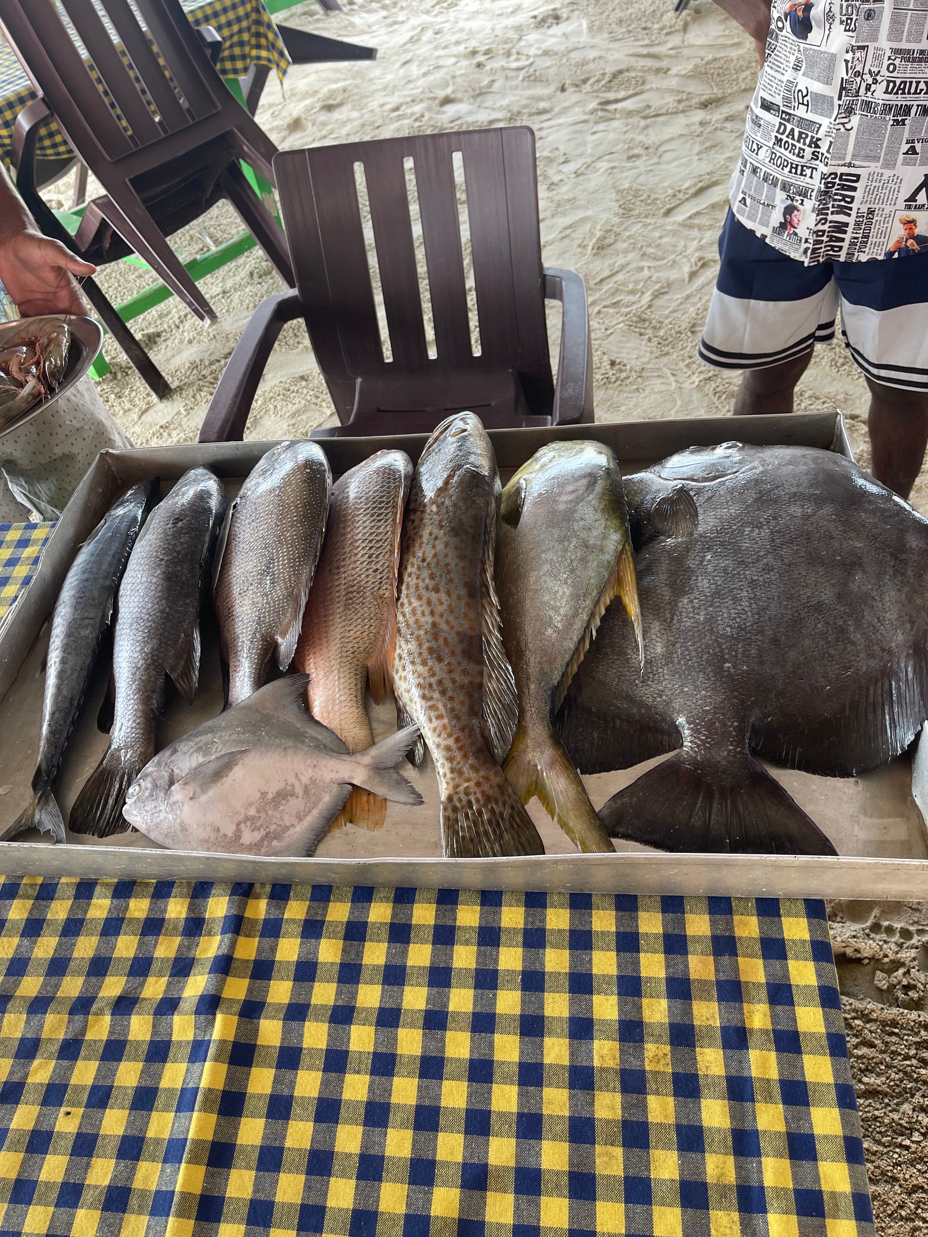 Фото Kenilworth Resort & Spa