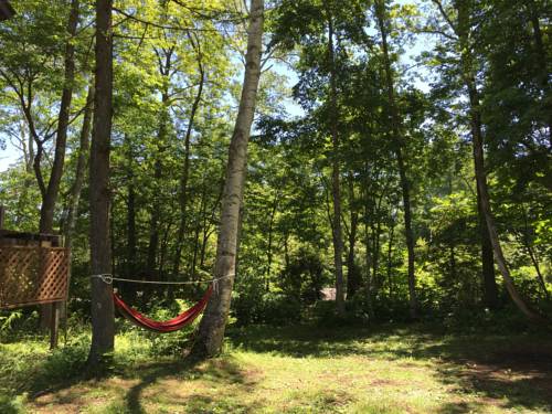 Фото Share and Guest House Hakuba Share