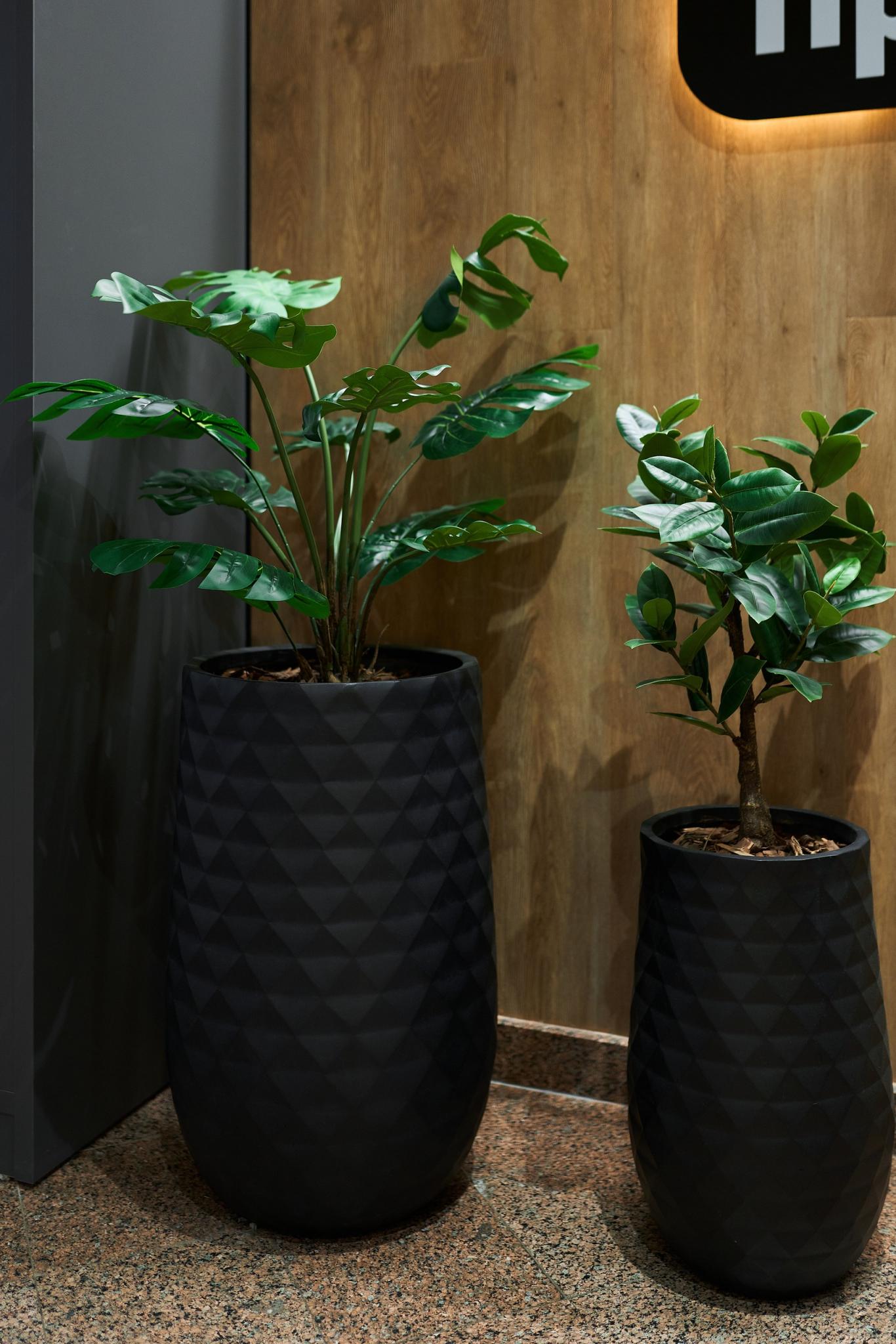 Фото Премьер