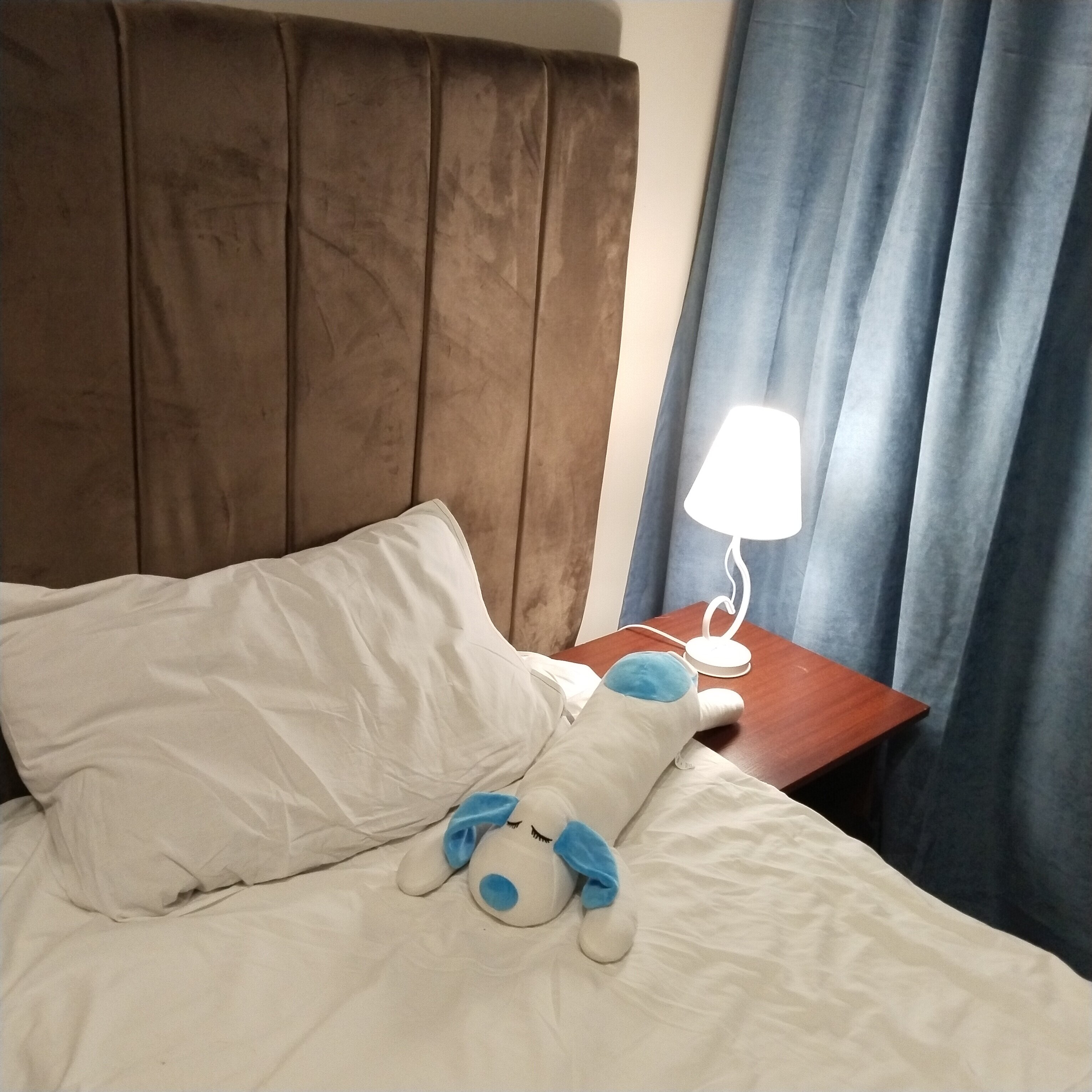 Фото Сафьян