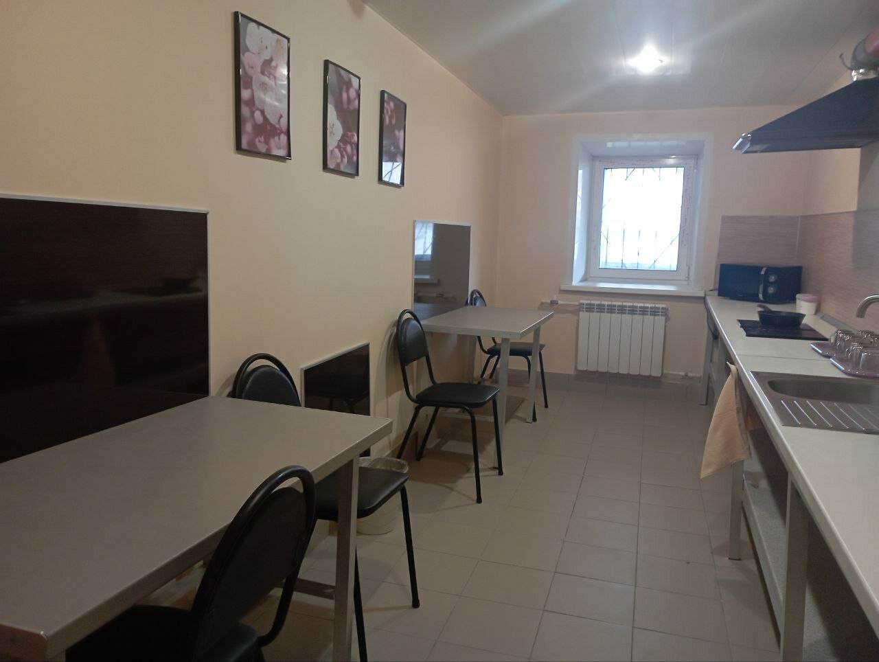 Фото Лектус