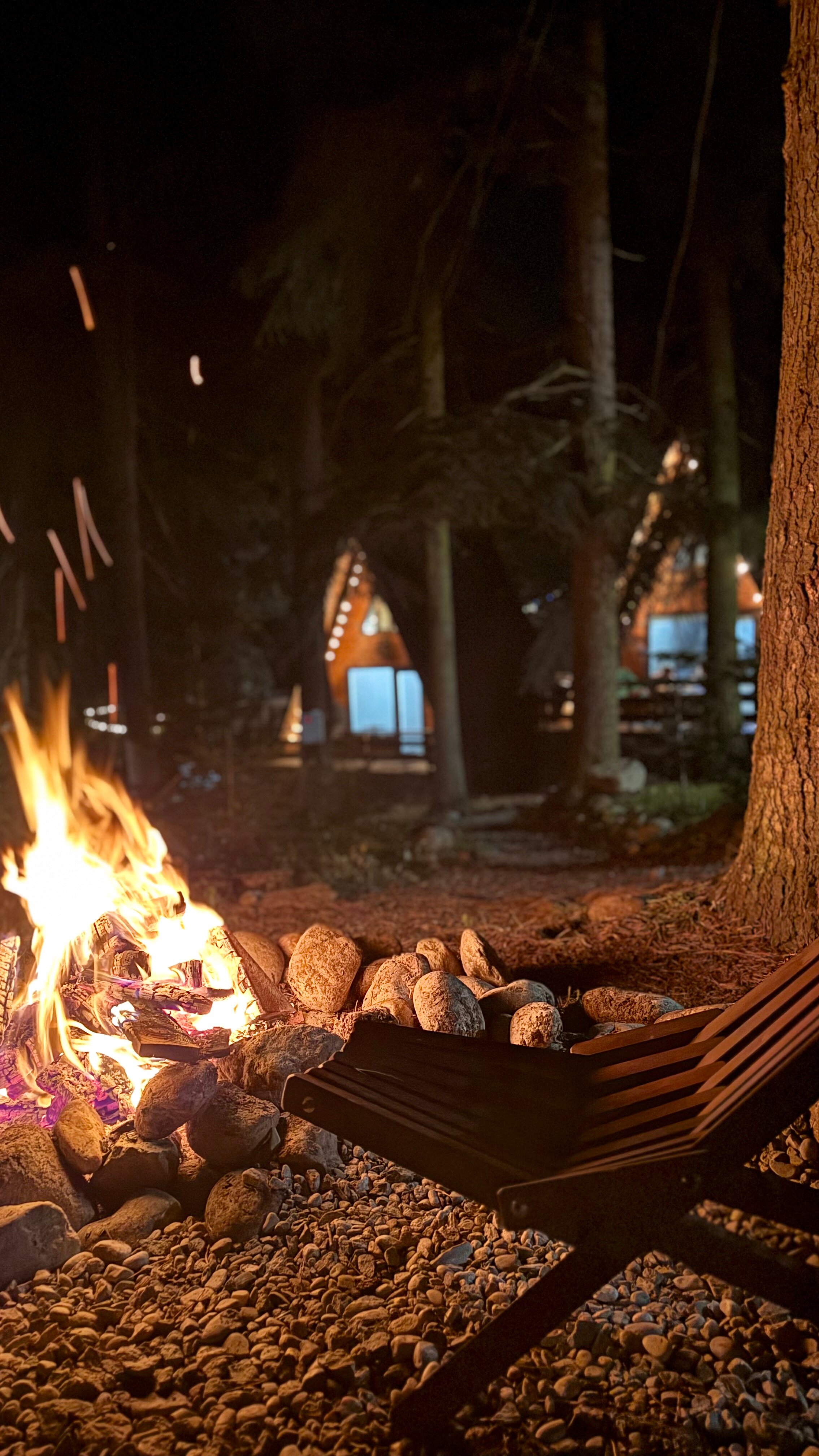 Фото Ёлки House