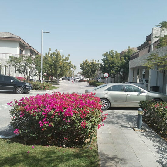 Flower shop Golden Garden Flowers, Abu Dhabi, photo