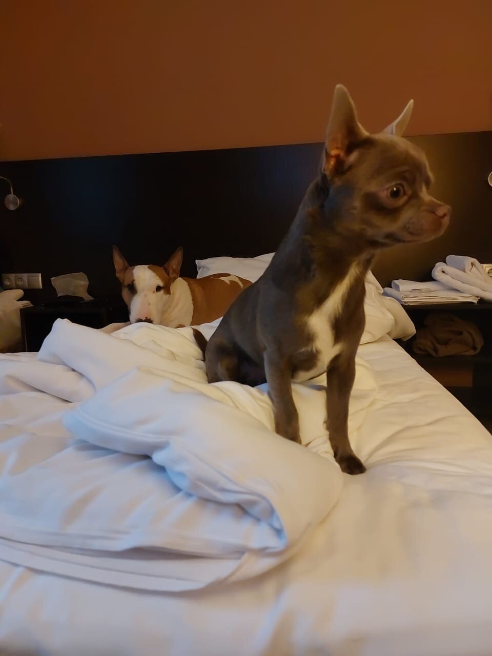 Фото Усадьба Горки