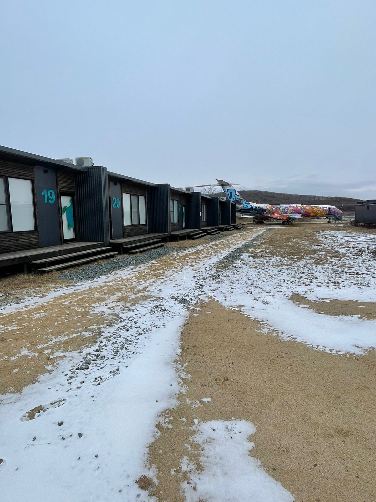 Фото Лазурная черепаха