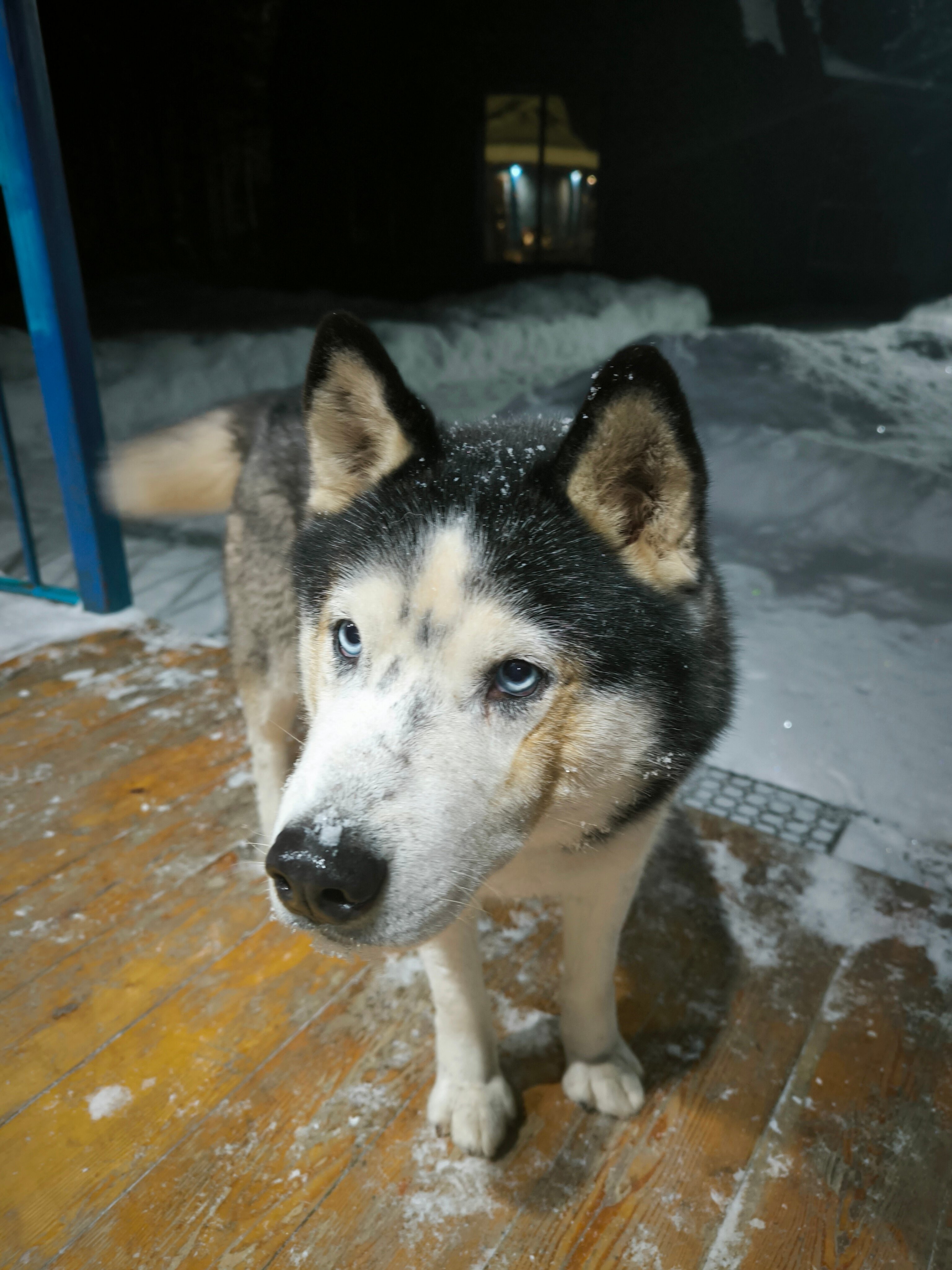 Фото Галактика Алтай