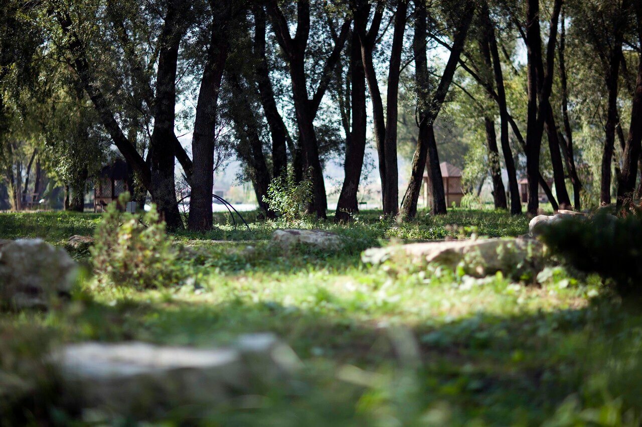 Фото Парк-отель Остров Рыболовная усадьба