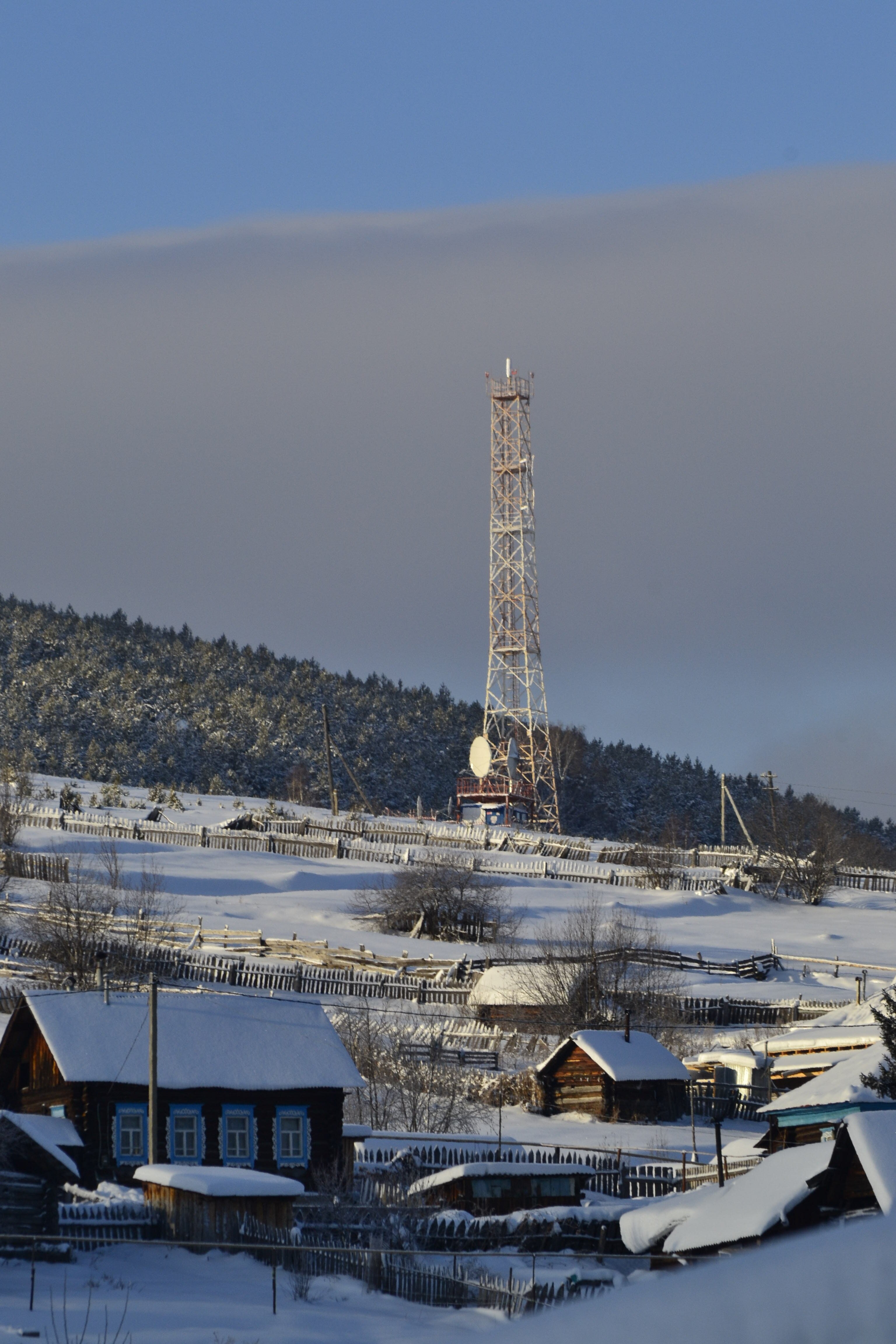 Фото Пилигрим