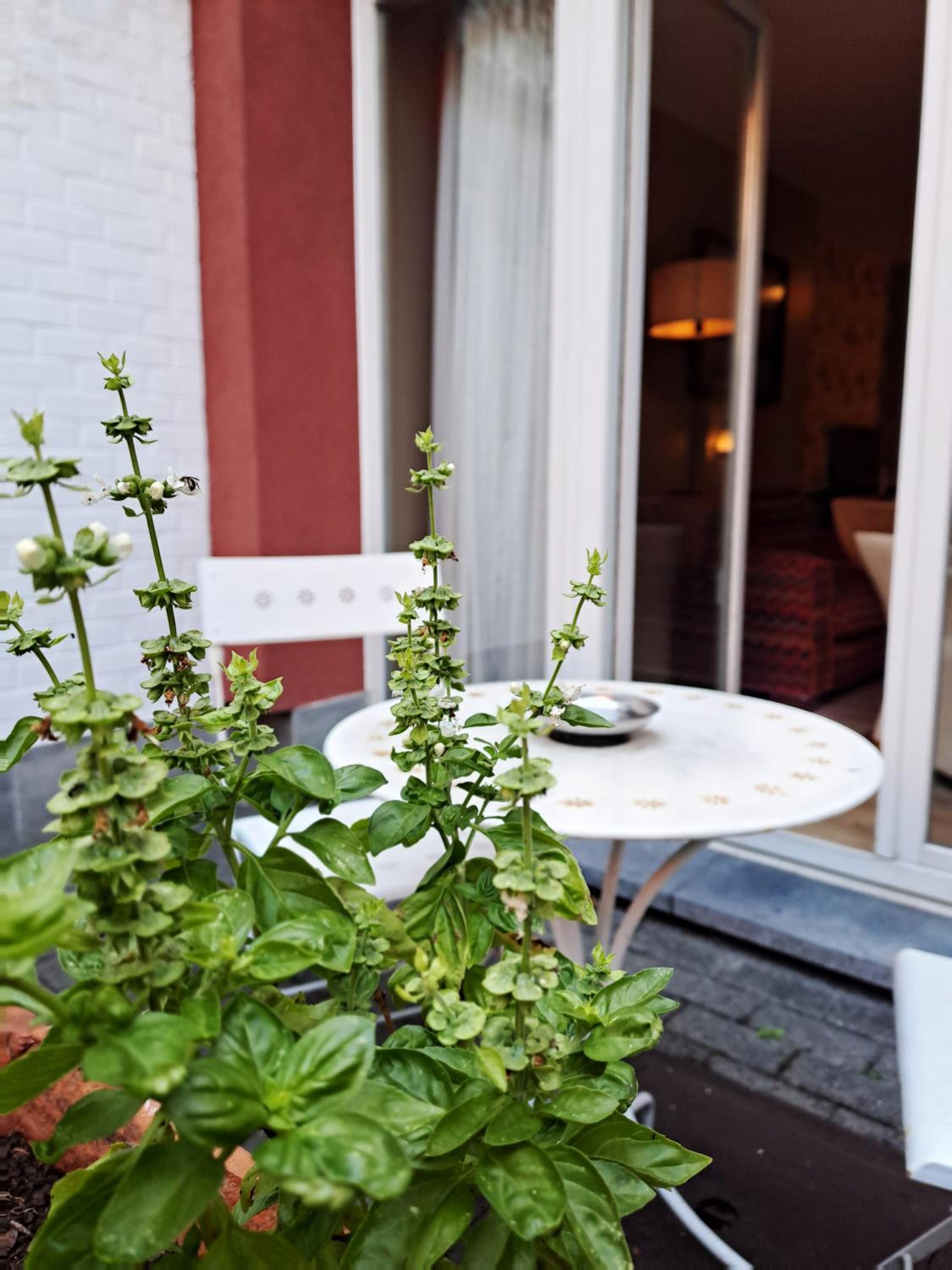 Фото Mas Aparthotel Eu