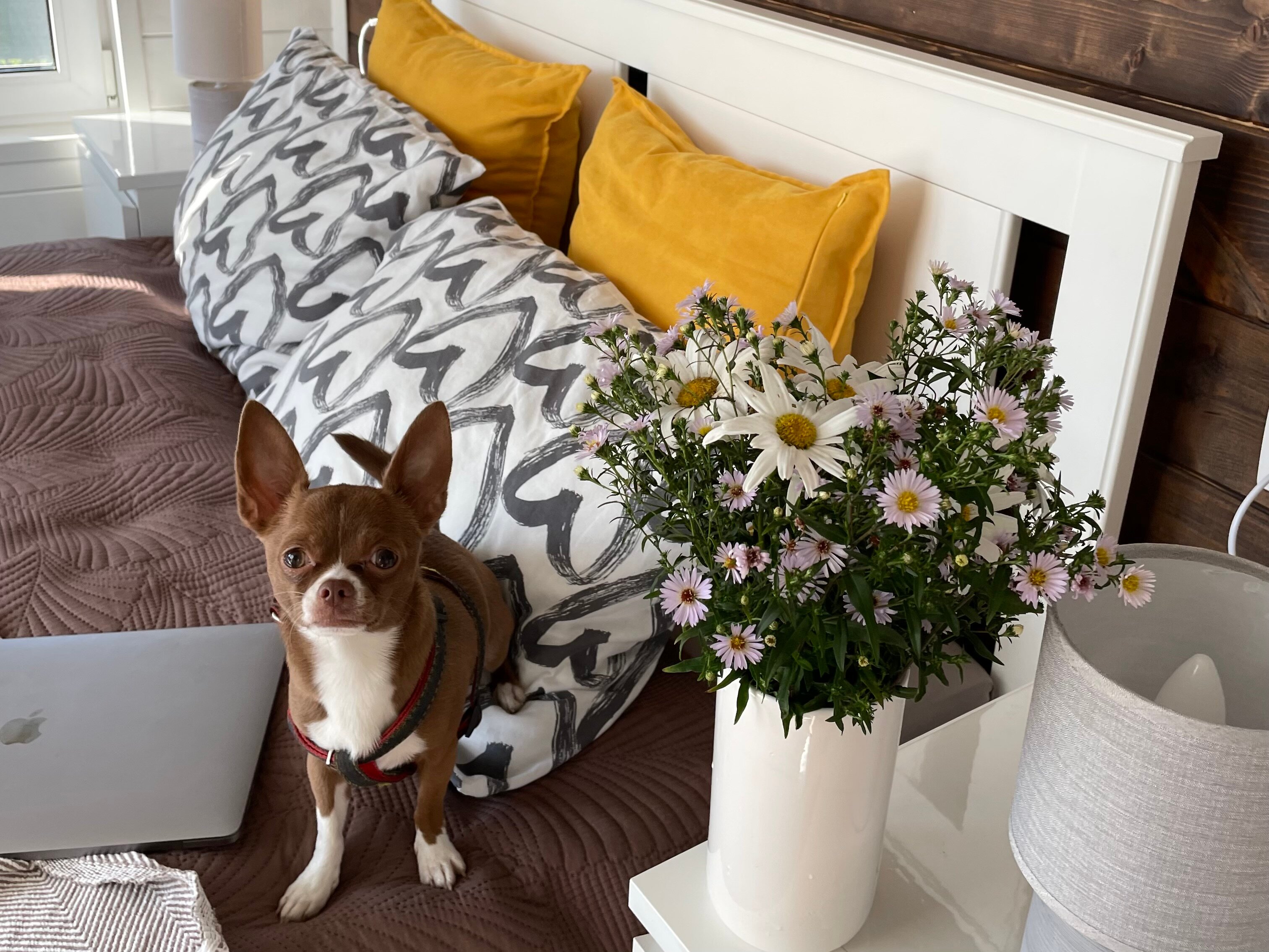 Фото На•ПОЛЕ•он