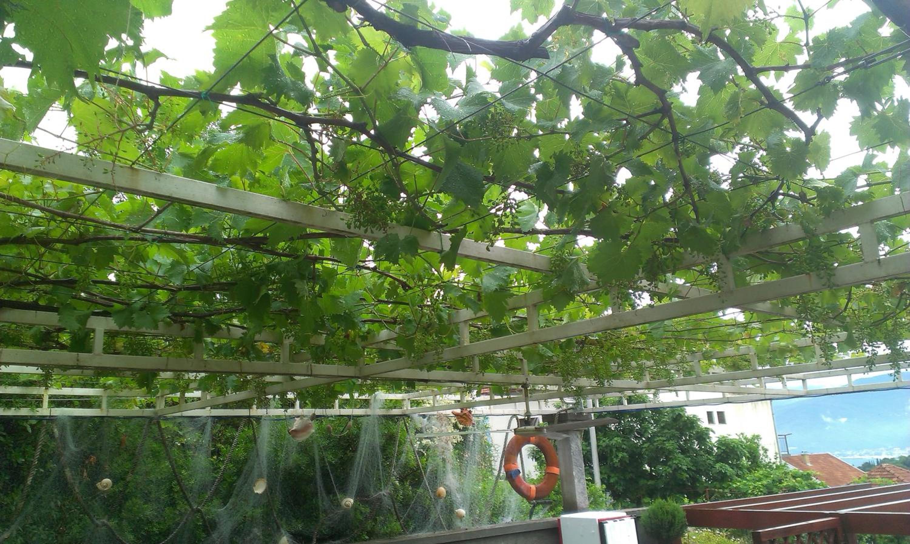 Фото Apartments Sandra