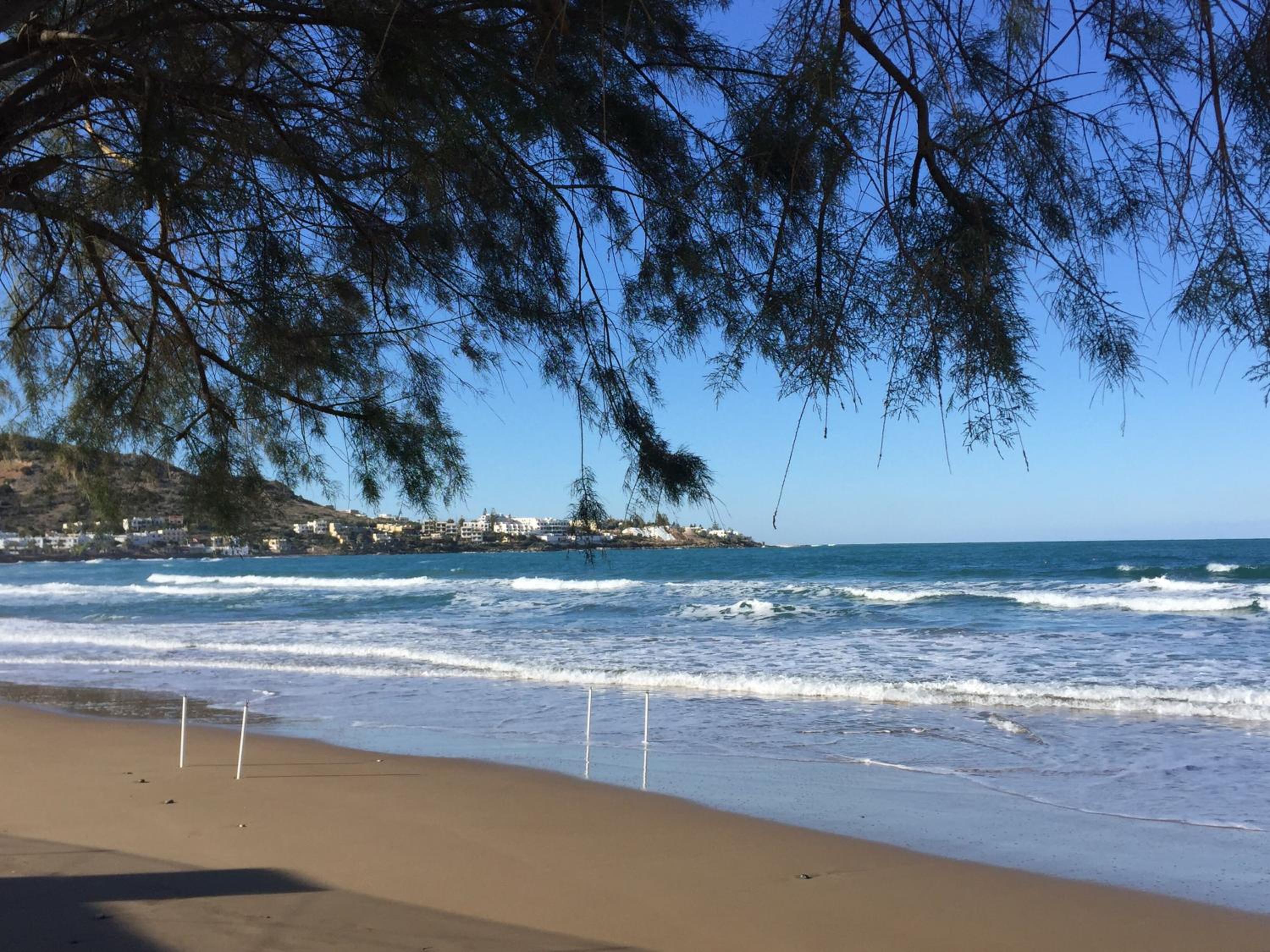 Фото Psaras Apartments