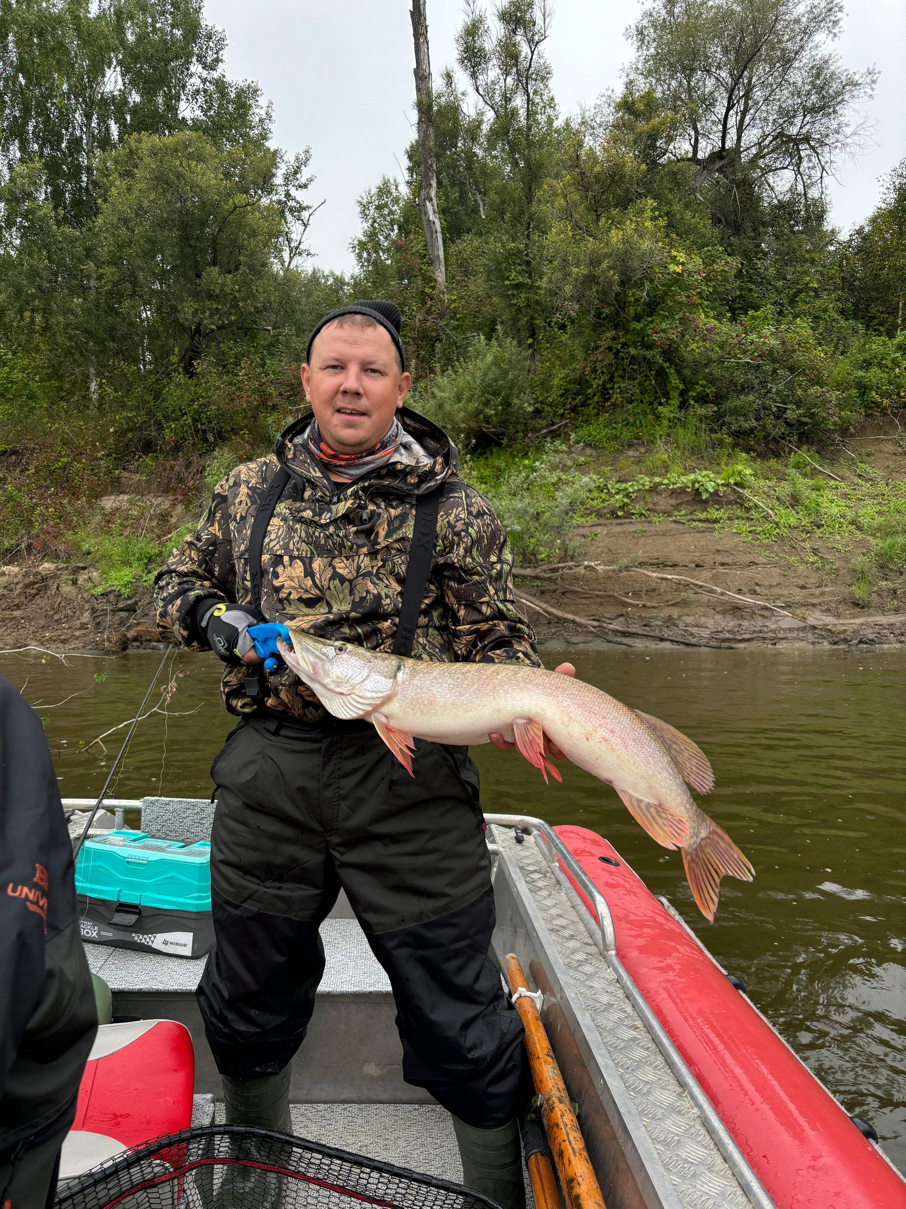 Фото Домик на дереве