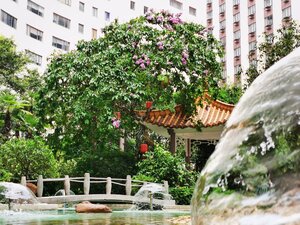 Гостиница China Hotel