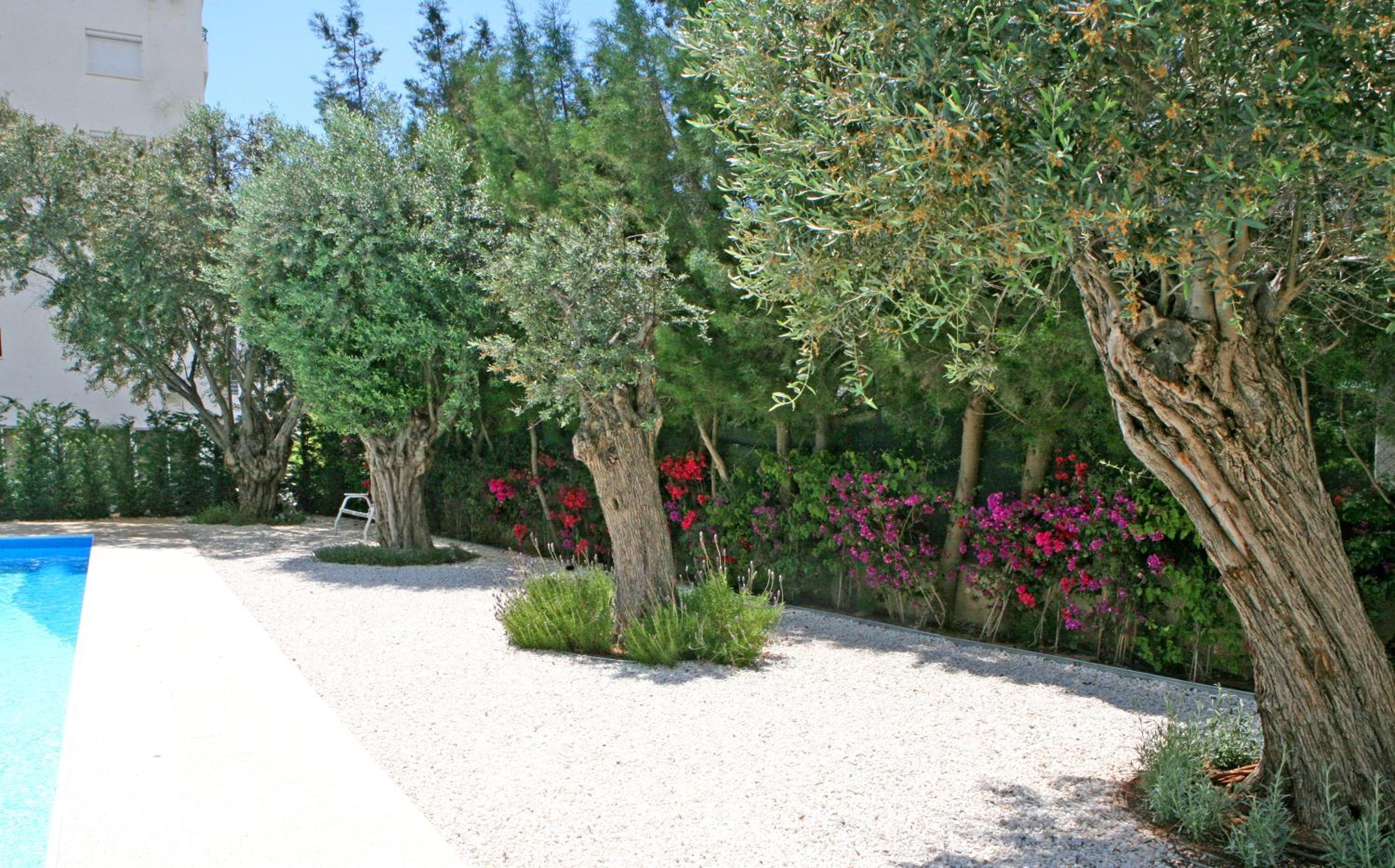 Фото Corina Suites and Apartments