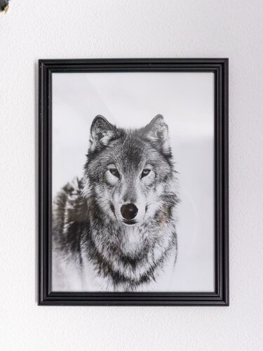 Гостиница Wolf Hotel