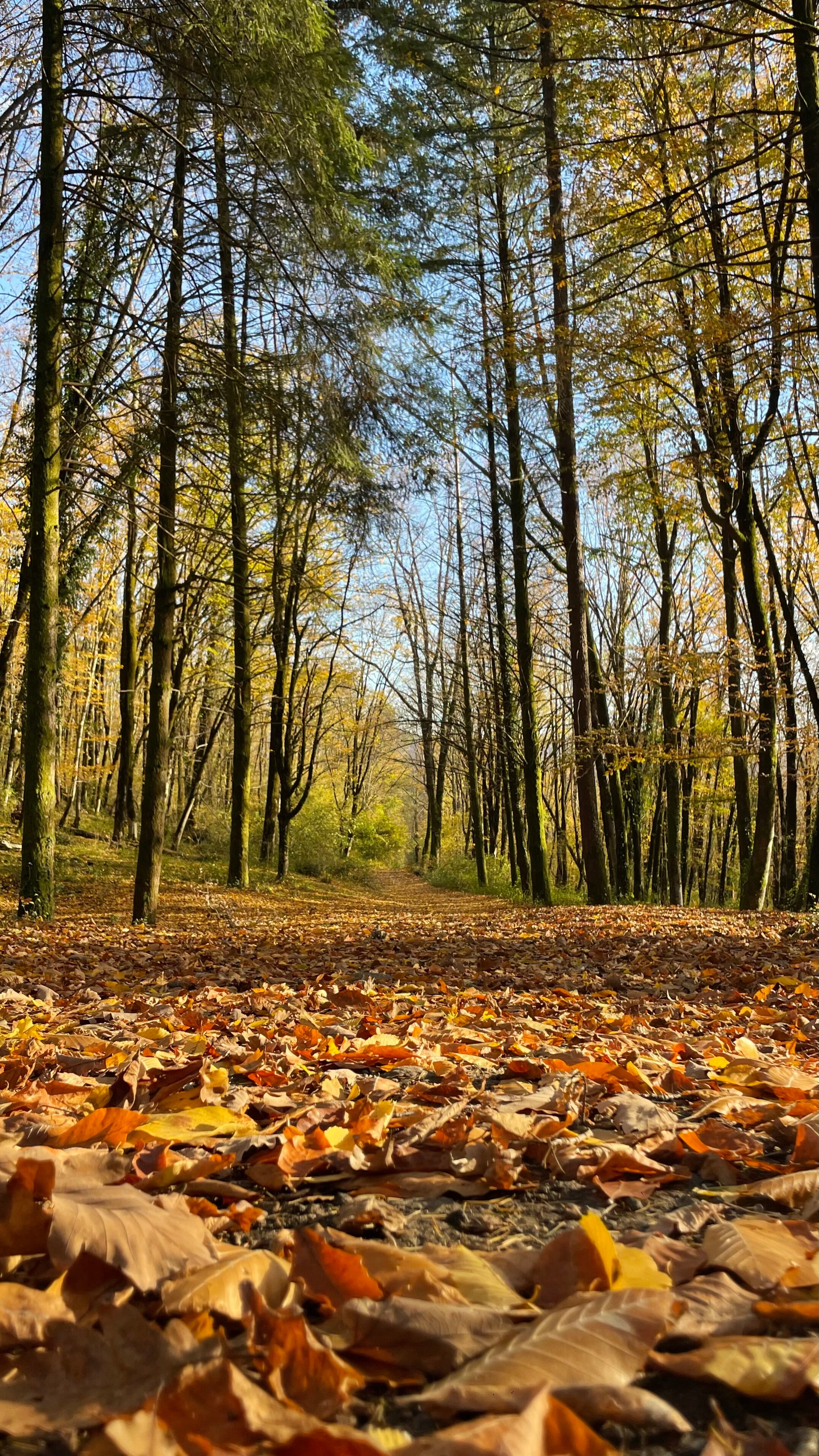 Фото Panorama Village