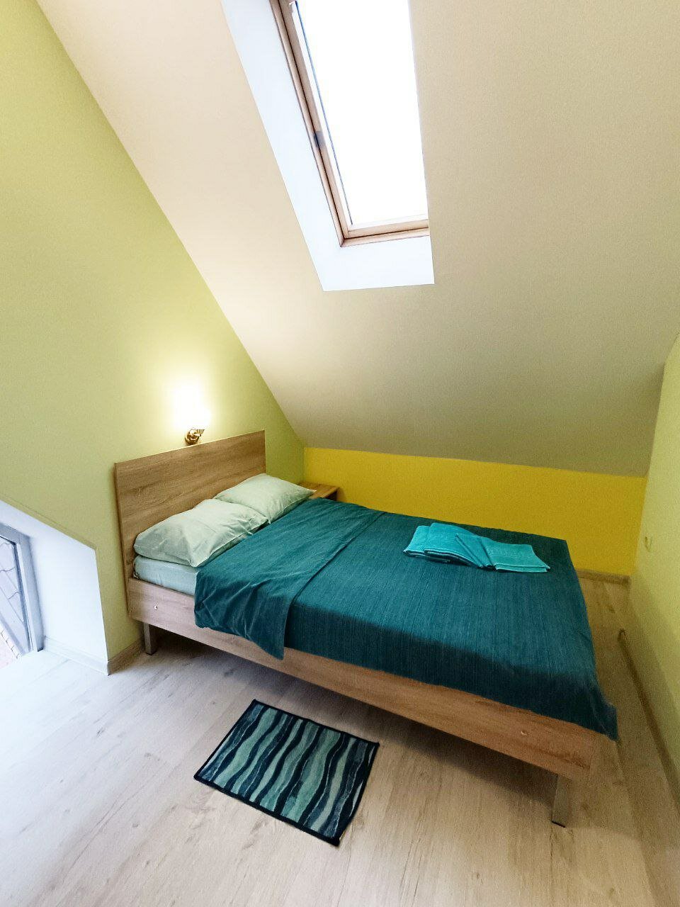 Фото Золотой Клевер