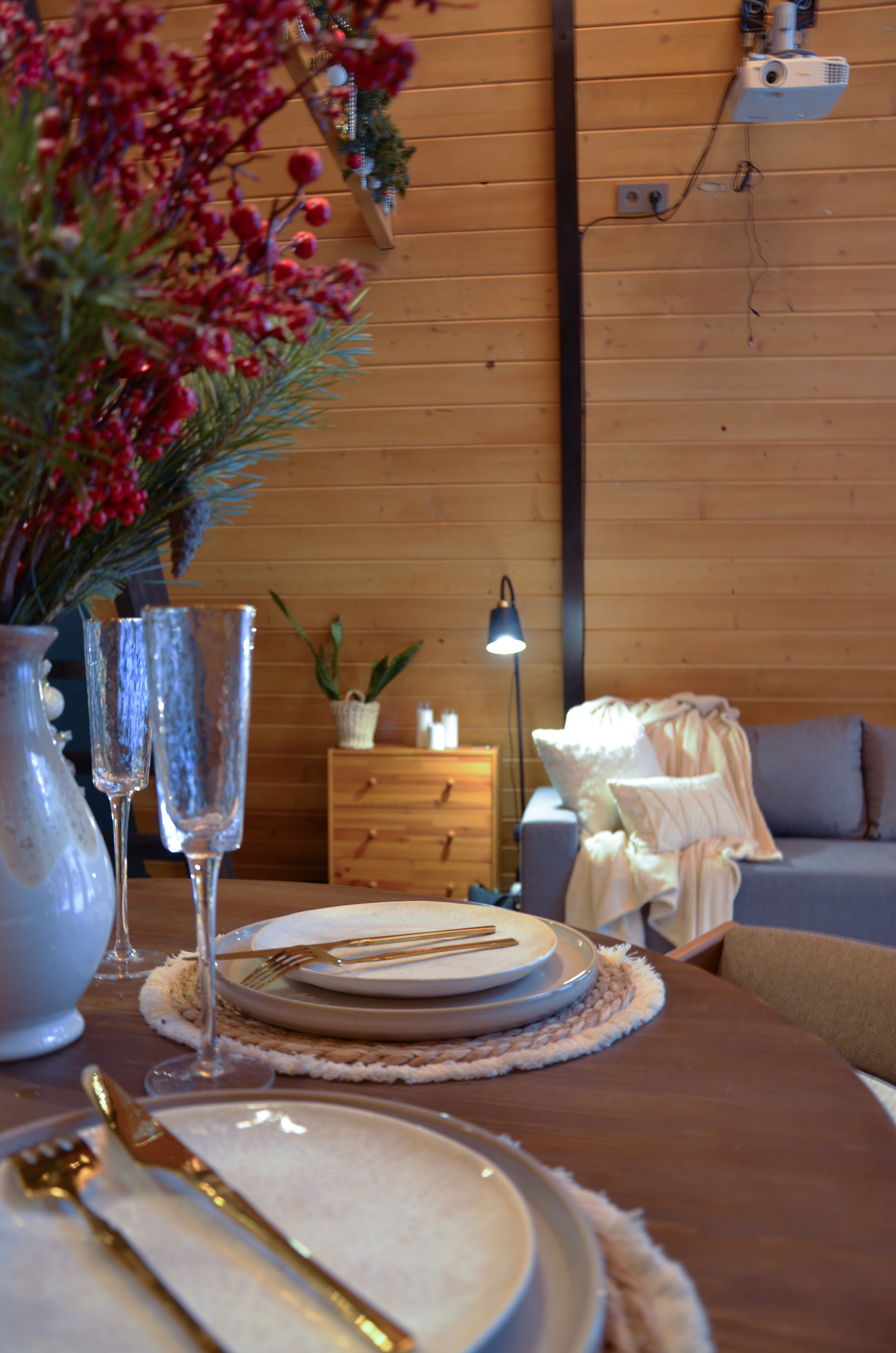 Фото Шишки Парк