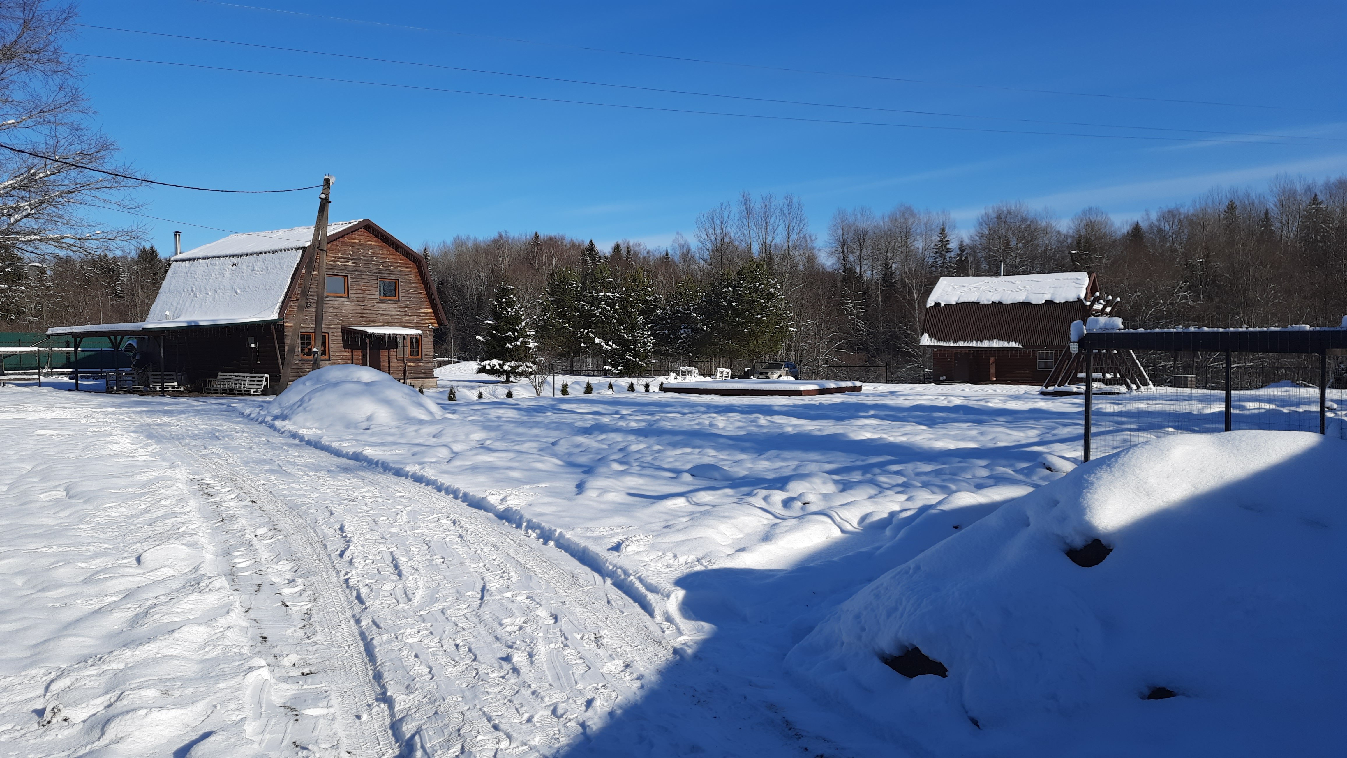 Фото Морошка