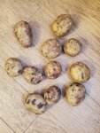 Зольский Картофель (posyolok Zalukokoazhe, ulitsa Pobedy, 59А), verduras y frutas al por mayor