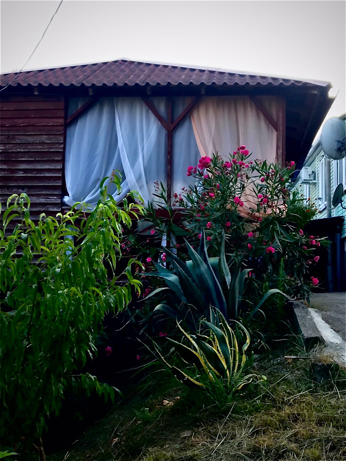 Фото Южный Вайб