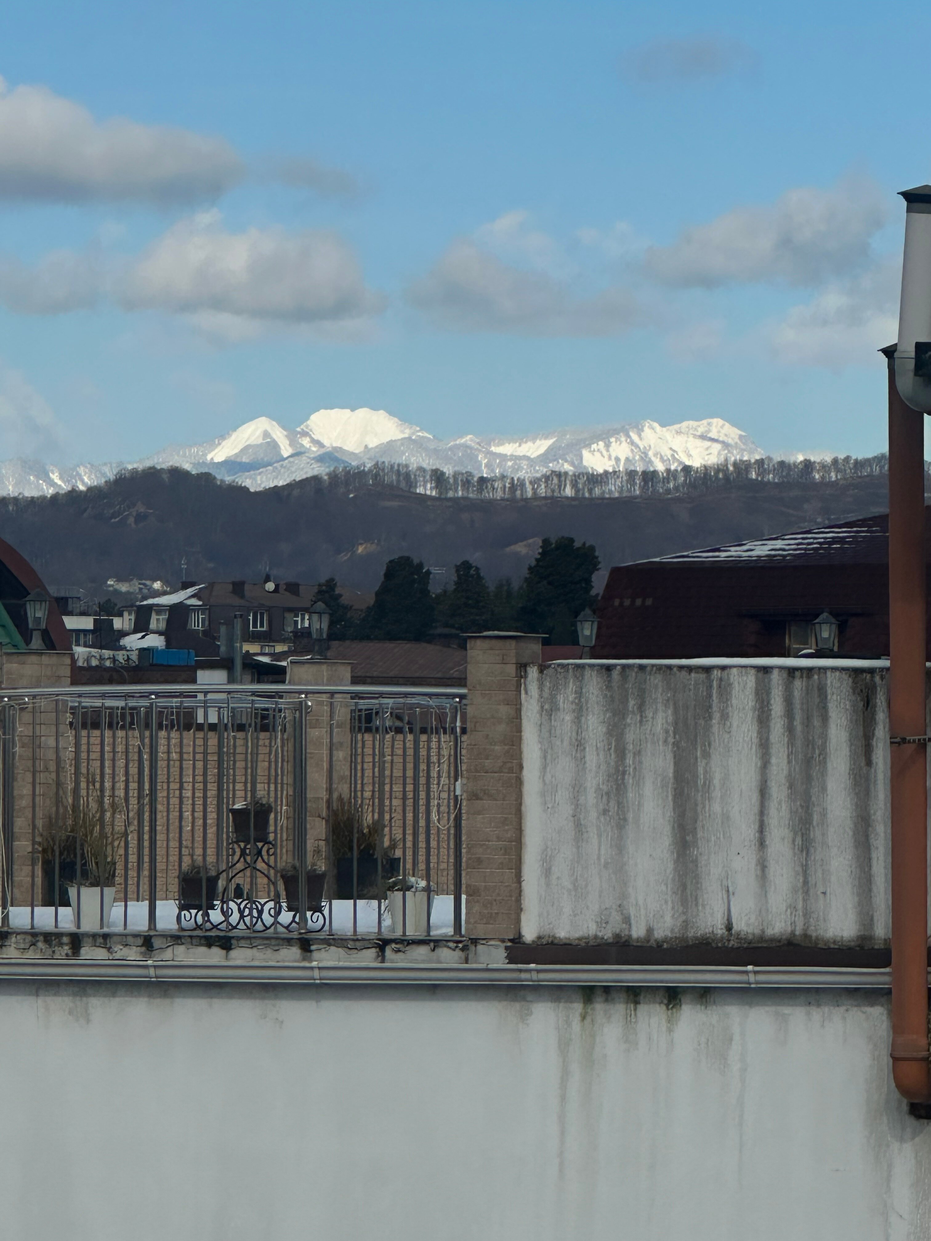 Фото Талассо