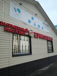 Yermolino (rabochiy posyolok Vinzili, ulitsa Gagarina, 5), grocery