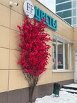 Fresh Flowers (Adoratskogo Street, 11А), flower shop